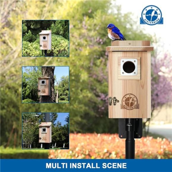 Bird Houses for Outside 1-1/2” Entrance Hole Cedar Birdhouses with Metal Guard - Picture 6 of 7